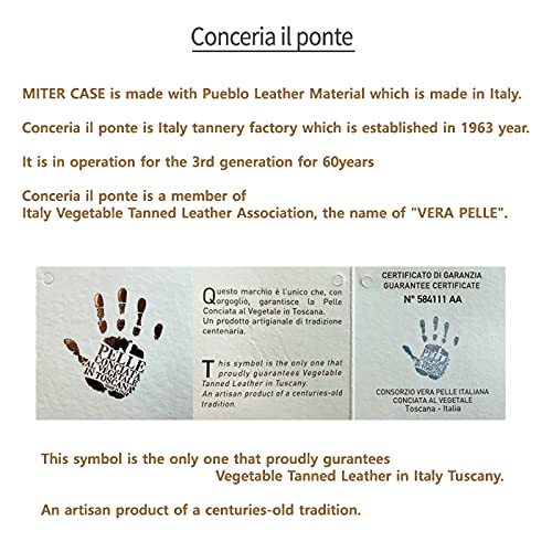 Amazon.com: MITER CASE Compatible with Sony NW-WM1AM2 / NW-WM1ZM2